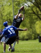 OTFL Gallery Image
